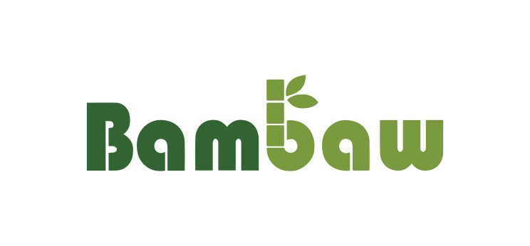 Laboratoire Bambaw